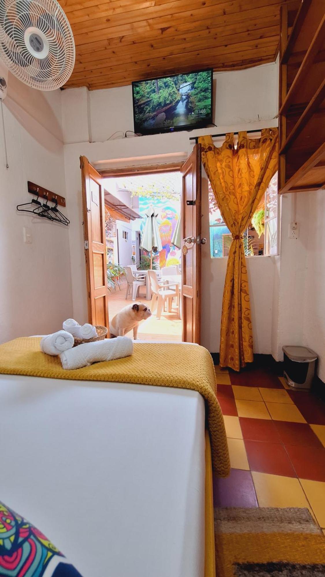 סן גיל Hostal Colombian Gold מראה חיצוני תמונה